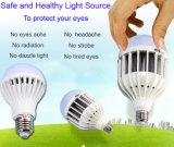 3W-48W PF>0.65 Home Light/LED Indoor Bulb with CE